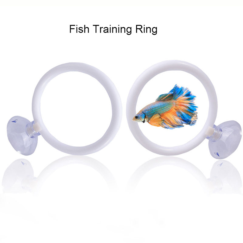 1pcs Plastic Fish Tank Aquariu - Gymnastic Ring 评论和价格